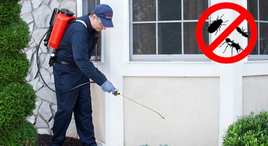 Menteşe Hamam Böceği İlaçlama böcek ilaçlama ve haşere kontrolü — ilaclama-tr.com
